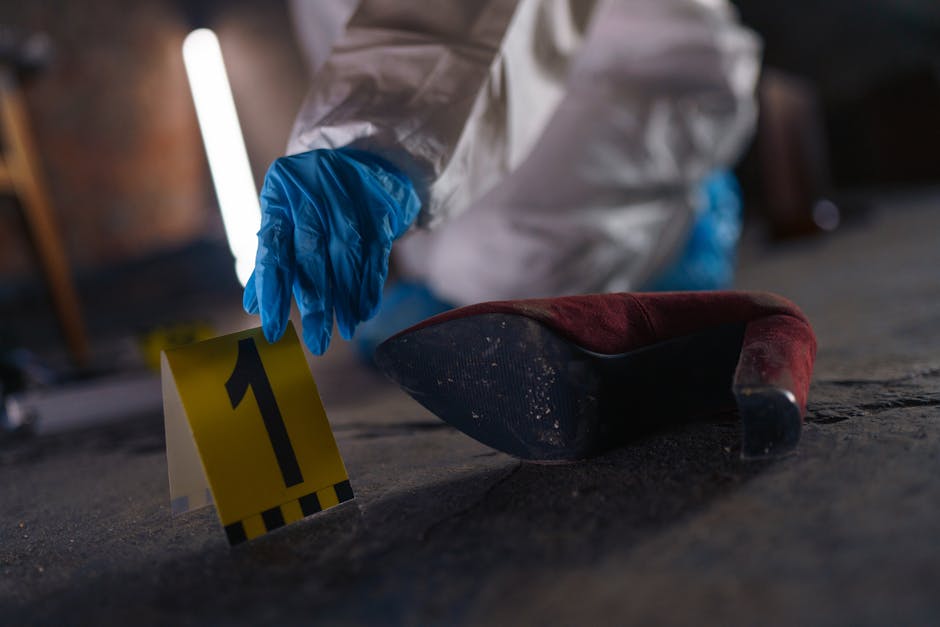 Forensics Fun Facts – How Science Cracks the Case - American Mortuary Coolers & Equipments Forensics Fun Facts – How Science Cracks the Case - American Mortuary Coolers & Equipments